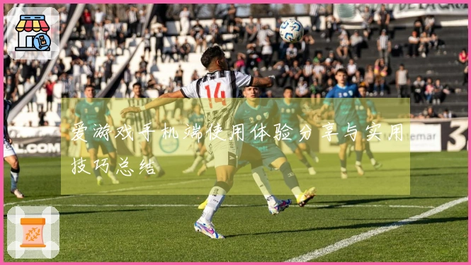 爱游戏手机端使用体验分享与实用技巧总结